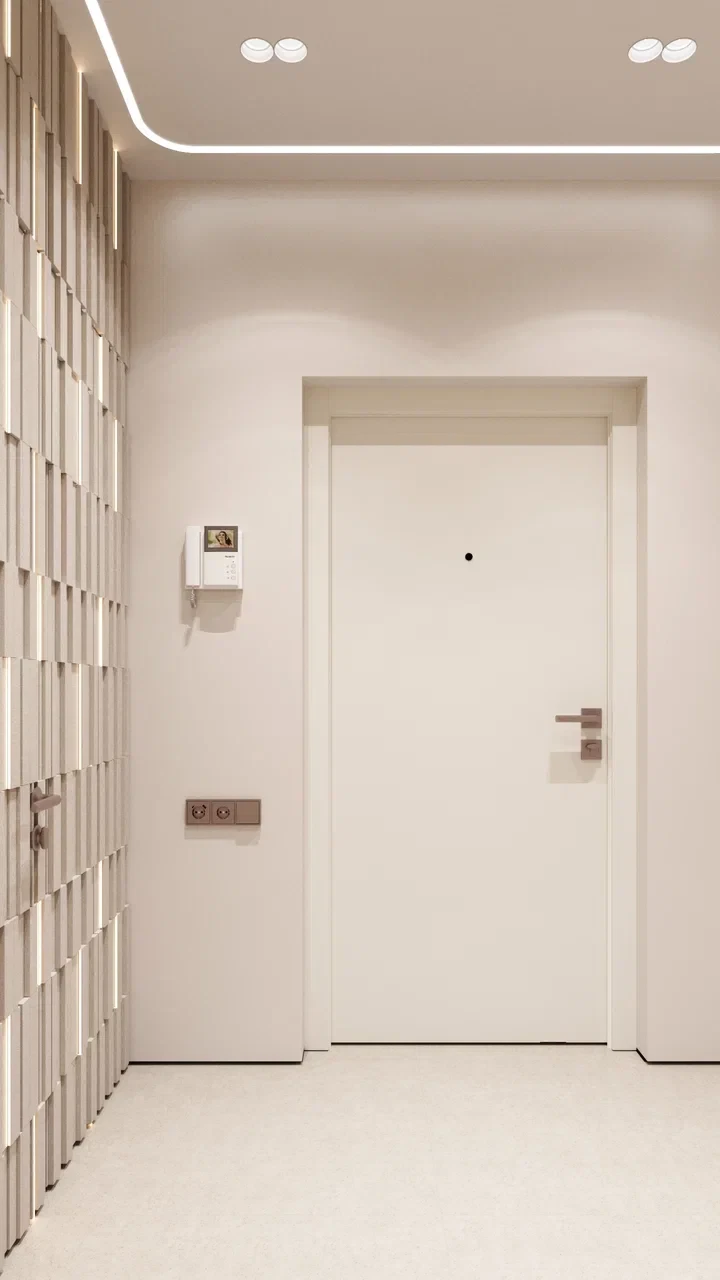 white and gray optical illusion